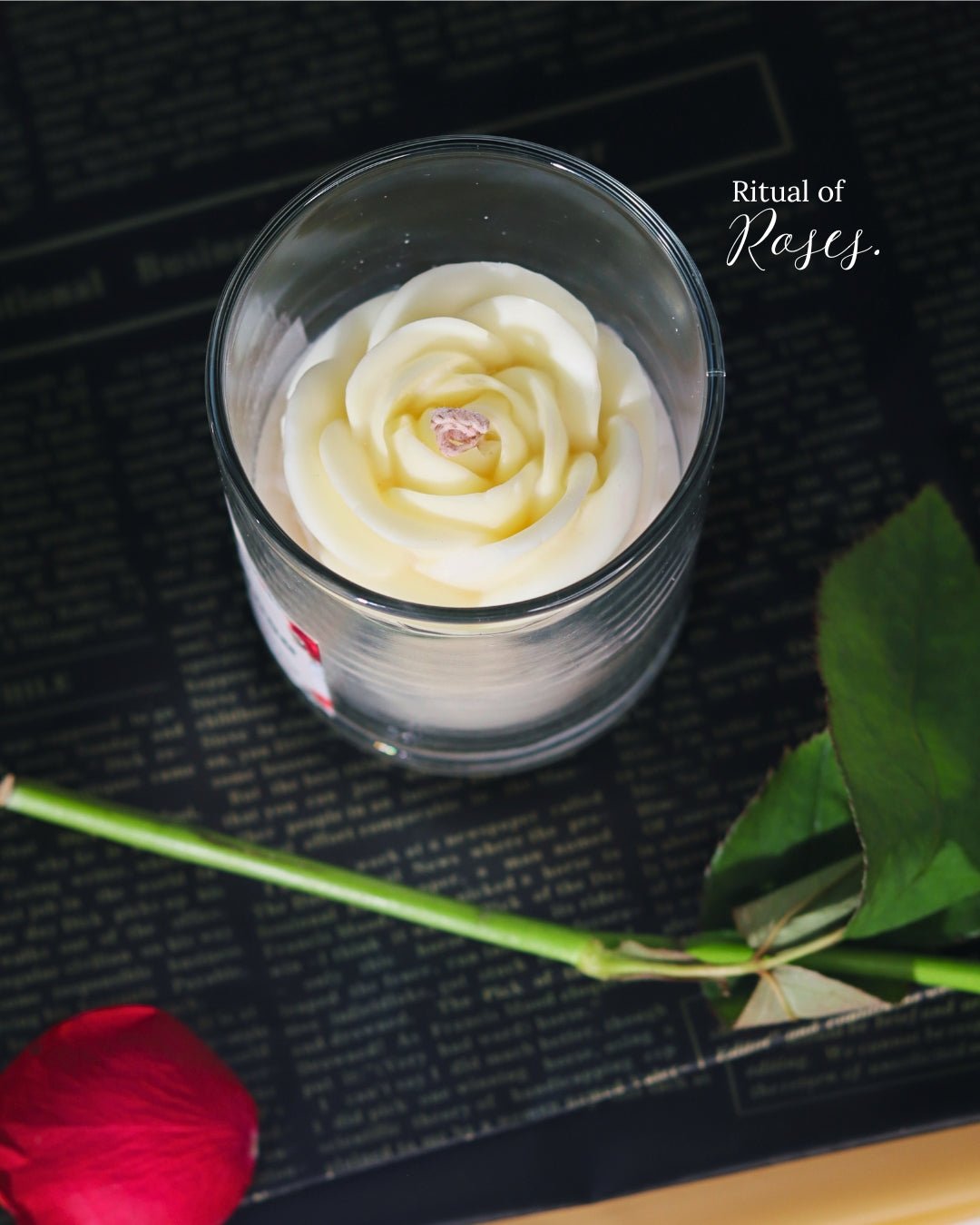 Midnight Rose - Dark Rose Scented - Silky Zest
